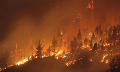 ¡Apaguen el fuego!                      La Patagonia bajo fuego.