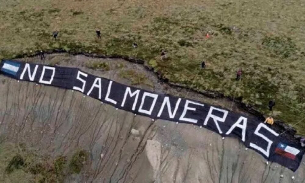 Argentina es el primer país del mundo en prohibir la cría de salmones.