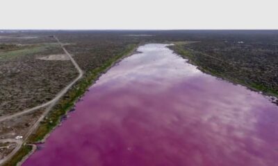 En Chubut una laguna se “tiñó” de rosa y denuncian contaminación.