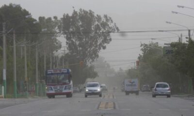 Alerta metereológica: el viento zonda continúa.