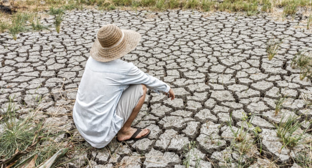 San Juan presentó el “Programa de Lucha contra la Desertificación”.