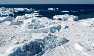 Groenlandia: En una expedición los científicos  descubrieron la isla más septentrional del mundo.