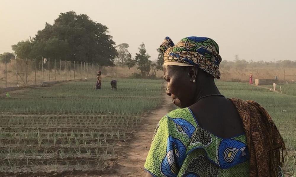 Gambia: un país comprometido en frenar el cambio climático.