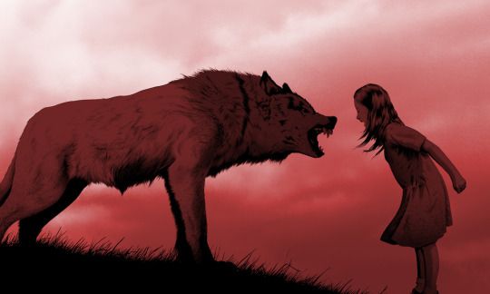Siete frases geniales del libro: Las mujeres que corren con lobos