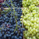 Una empresa productora de frutas que cotiza en la bolsa de New York piensa volver a San Juan.