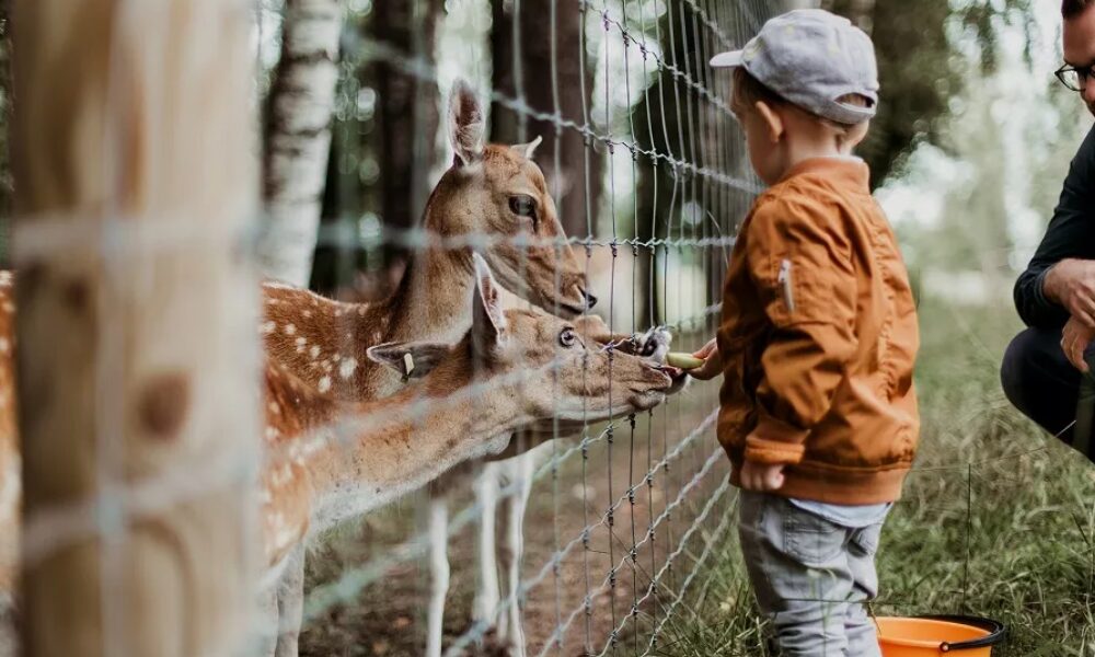 Inician el debate sobre la vigencia de los zoológicos y los acuarios con la idea de «bienestar animal».