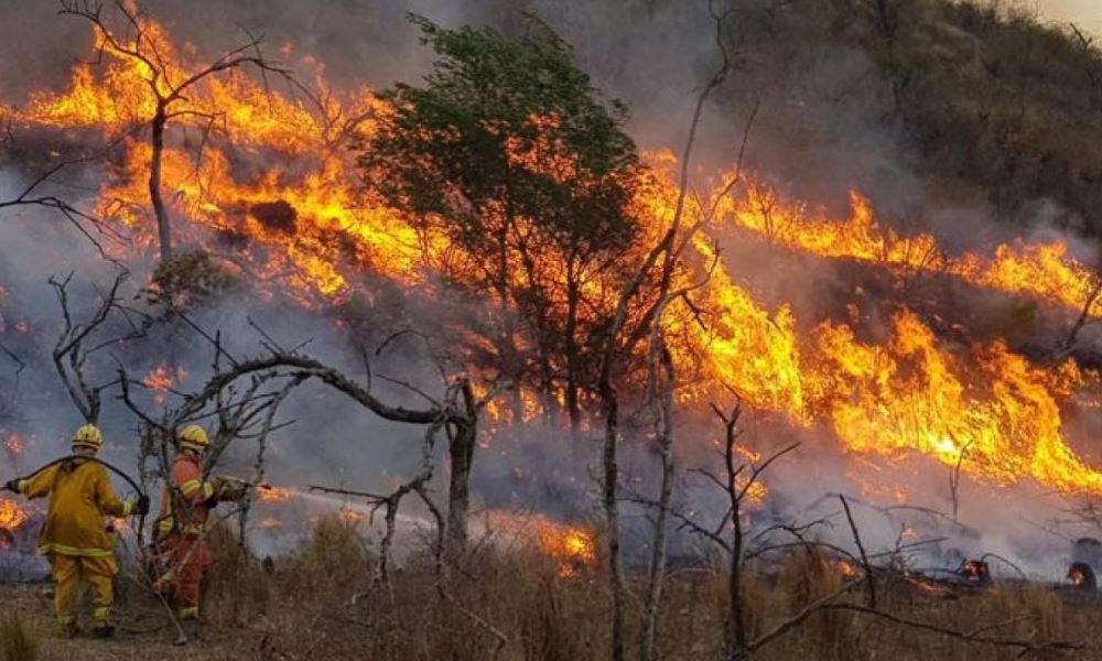 Nueve provincias tienen incendios forestales activos.