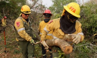 Brigadistas de Ambiente combaten incendios forestales en Corrientes y Río Negro.