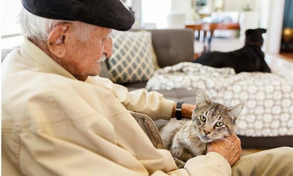 Estudio reveló que las mascotas reducen el deterioro cognitivo de los adultos mayores.