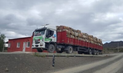 Jáchal trasladó cerca de 17 mil kilos de cartón reciclado para su venta.￼