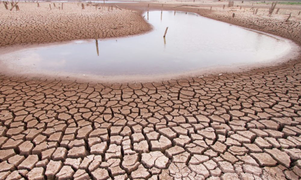 Federovisky sobre el cambio climático: “Lo de Milei no es provocación intelectual, es un acto de necedad”.