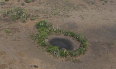 Arqueólogos encuentran una red de ciudades perdidas bajo la vegetación de la Amazonía boliviana.