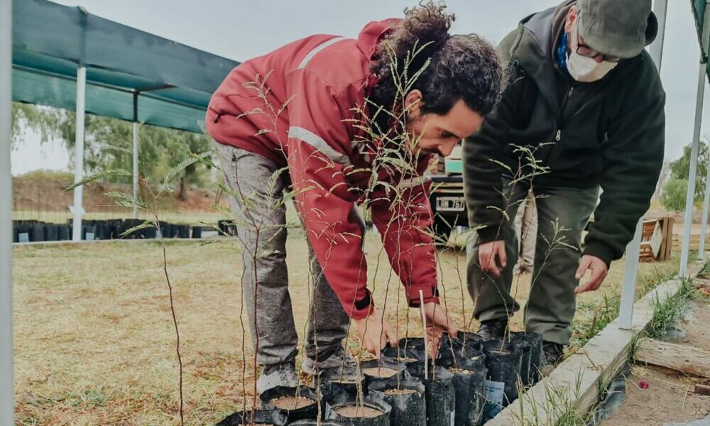 Una escuela de Bermejo será reforestada con árboles nativos donados por Ambiente.