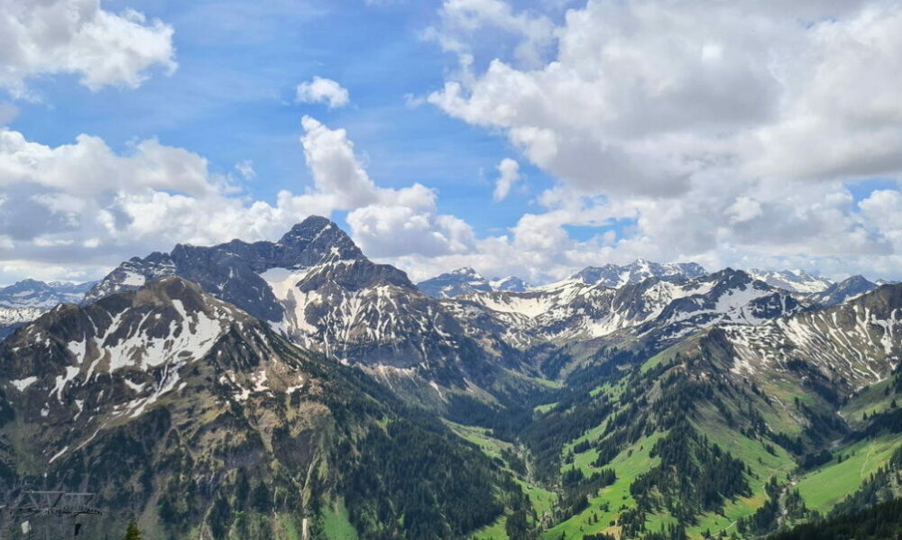 Imágenes satelitales muestran el «reverdecimiento» de los Alpes durante los últimos 40 años a causa del calentamiento global.￼￼