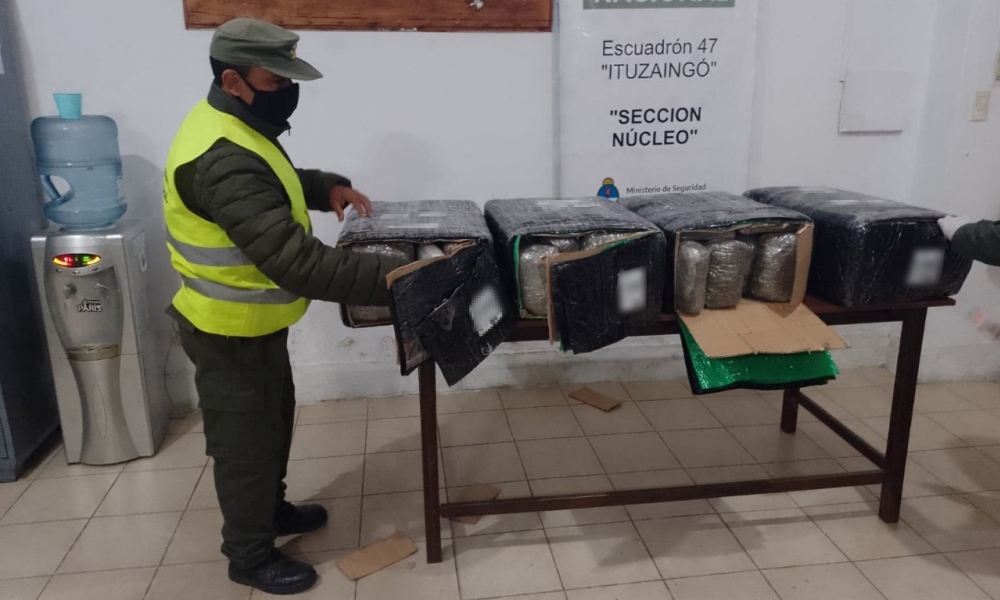 Sonic, el can de gendarmería que encontró 50kg de marihuana. Detienen a sospechoso en San Juan.