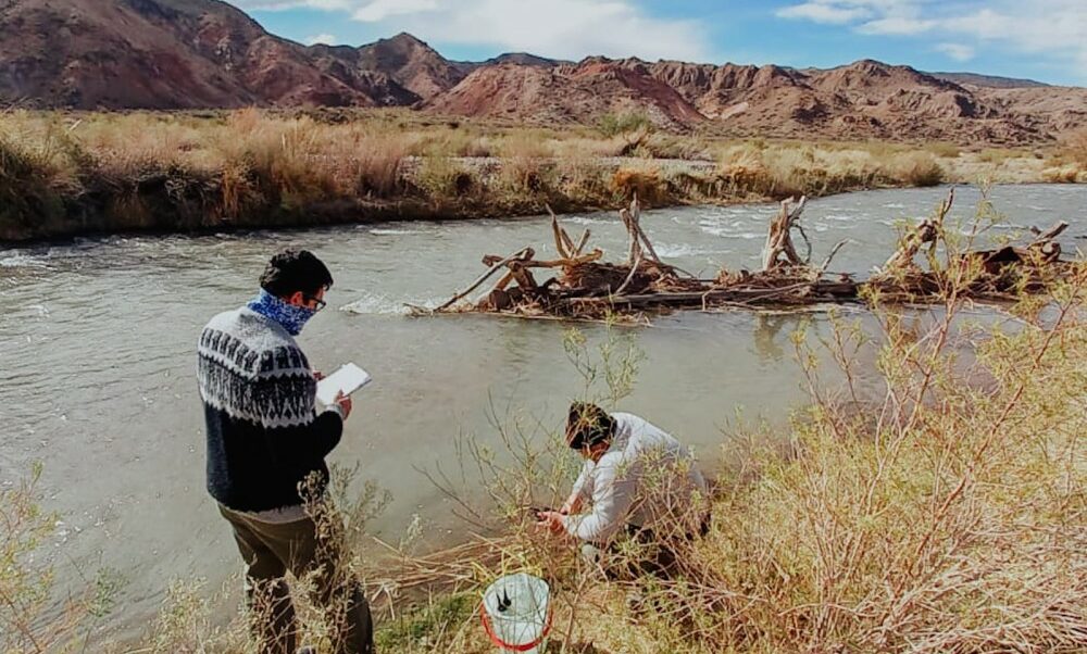 Ambiente monitorea los ecosistemas acuáticos de los ríos de Calingasta y Jáchal.