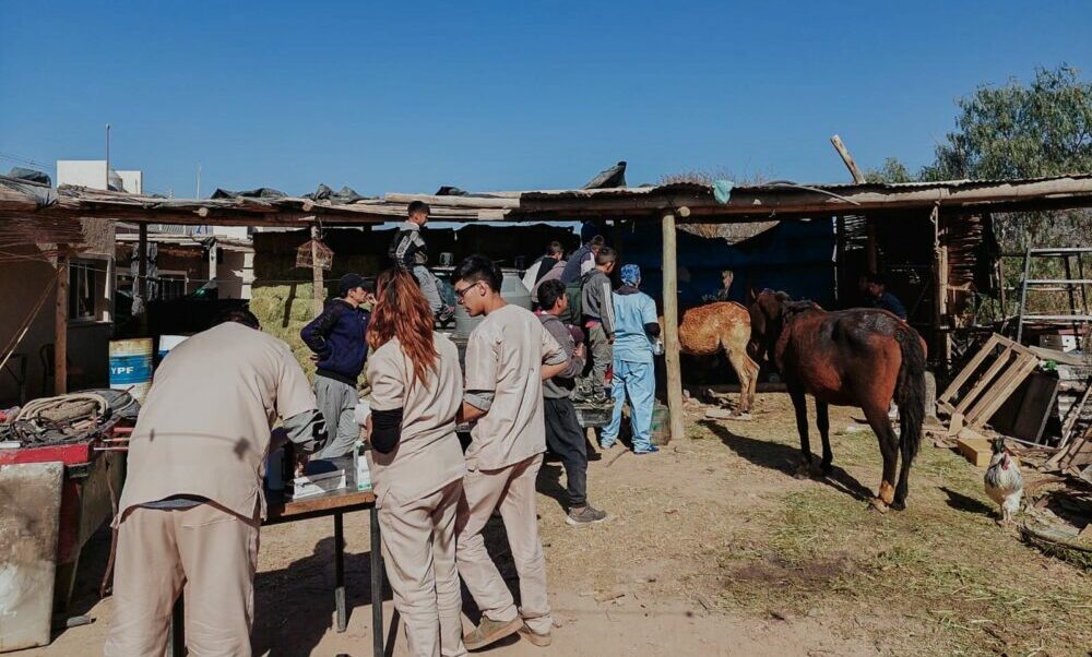 Ambiente realizó un relevamiento y asistió a los animales afectados por el incendio del Parque Sarmiento.