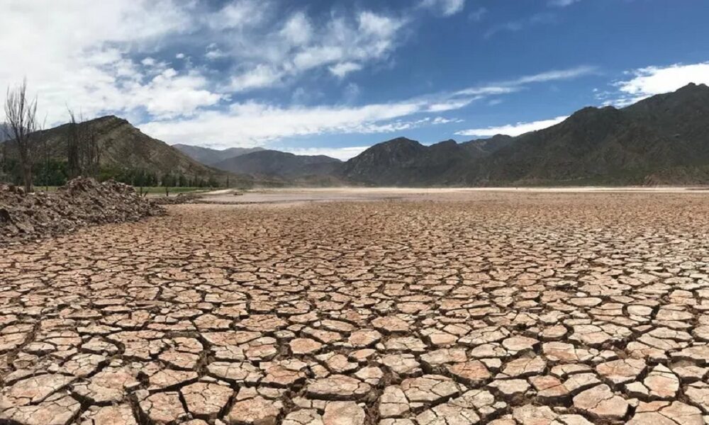 Habrá becas para que estudiantes de la UNSJ investiguen en el INTA San Juan.