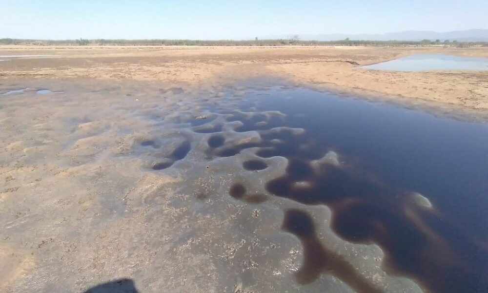 Preocupación por otra presunta contaminación del río Pilcomayo en Bolivia.