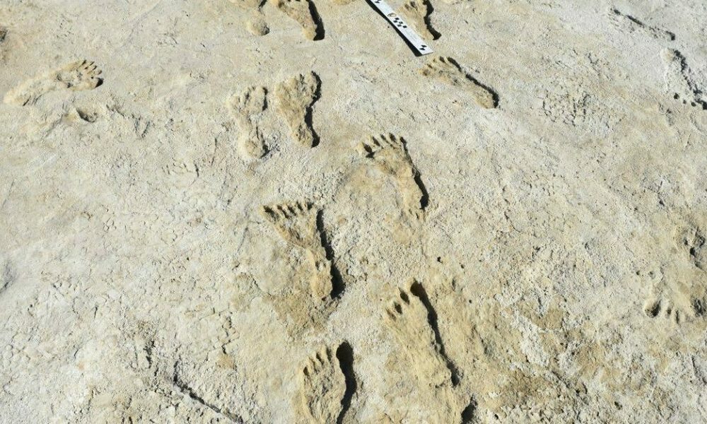 Huellas de pasos revelaron detalles de cómo vivían los habitantes en la Edad de Hielo.