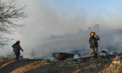 Bomberos de San Juan combatieron contra varios focos de incendios.