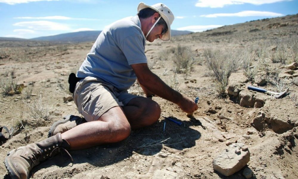 Descubrieron una nueva especie de dinosaurio depredador en Neuquén.