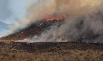 Los incendios no dan tregua en Valle Fértil.