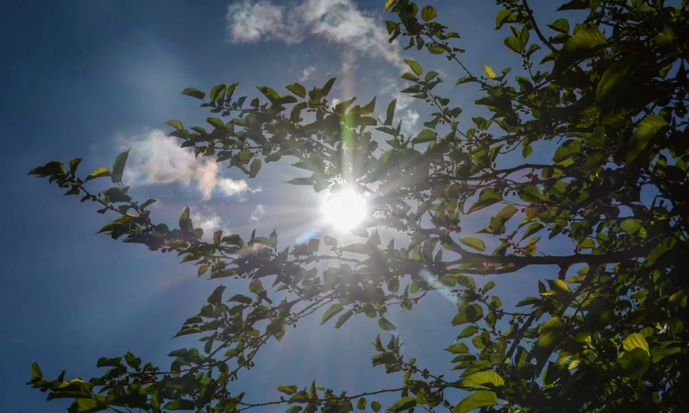 Miércoles con una máxima de 30º.