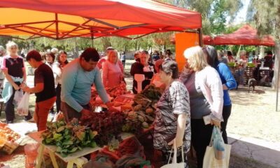 ¡A tener en cuenta! El camión de frutas y verduras vuelve a Caucete.