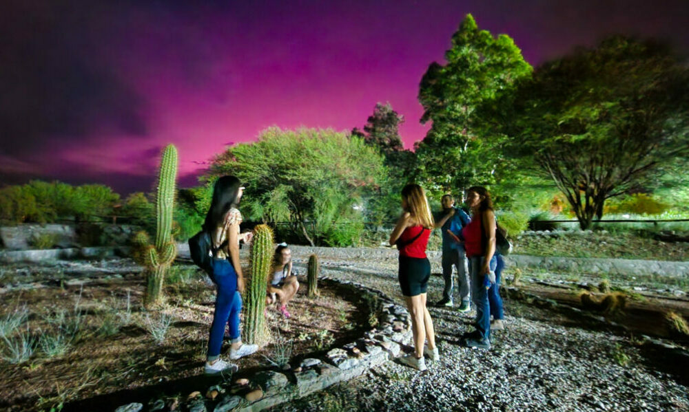 El Parque de la Biodiversidad se prepara para recibir visitas nocturnas.