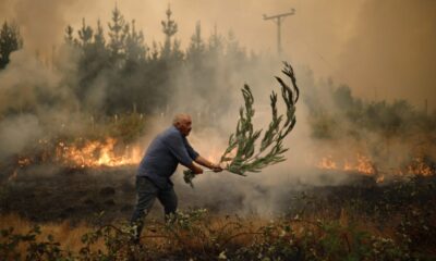 Los incendios en Chile ya registran 24 víctimas fatales.