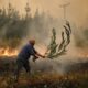 Los incendios en Chile ya registran 24 víctimas fatales.