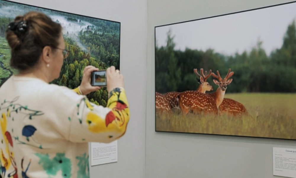 Más de 500 obras se presentaron en el Festival de Naturaleza y Fotografía “Pristine Russia”.