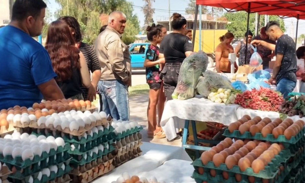 De primera mano: el camión de frutas y verduras vuelve a las calles sanjuaninas.