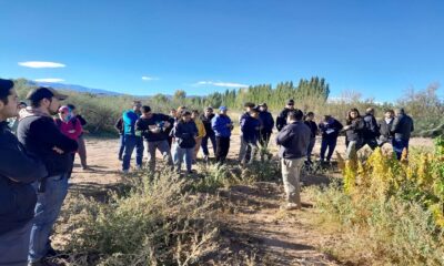 San Juan apuesta a la reintroducción de la quinoa en Calingasta.