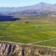 Valle de Pedernal: una joya creciente del vino argentino en San Juan.