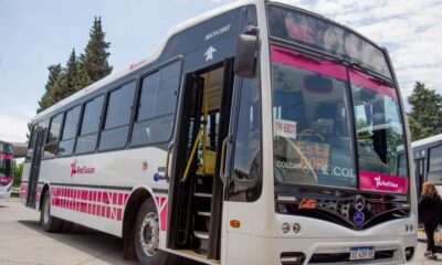 Durante el feriado por el Día del Maestro el transporte público reducirá su frecuencia.