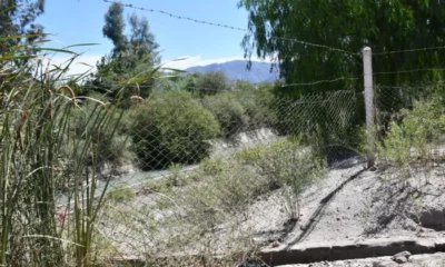 Tragedia en Rivadavia: un bebé falleció tras caer a un canal.