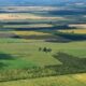 Un juez federal reafirmó la vigencia del artículo del DNU que deroga la Ley de Tierras