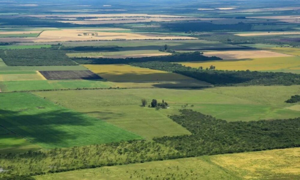 Un juez federal reafirmó la vigencia del artículo del DNU que deroga la Ley de Tierras