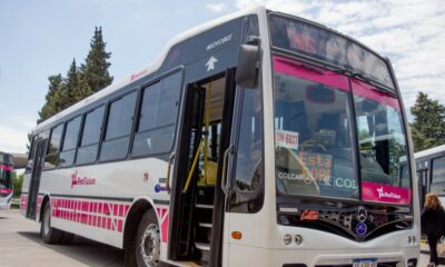 Todas las lineas de RedTulum harán sus recorrido normal el 25 de Mayo.