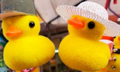 ¿De dónde surge el moda de los patitos en la cabeza?