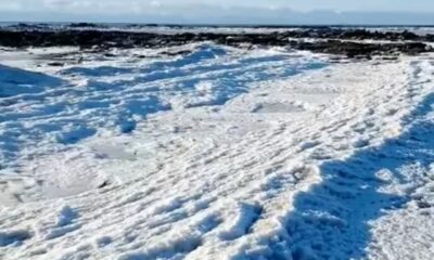 Ola polar: se congeló el mar en Tierra del Fuego por bajas temperaturas extremas