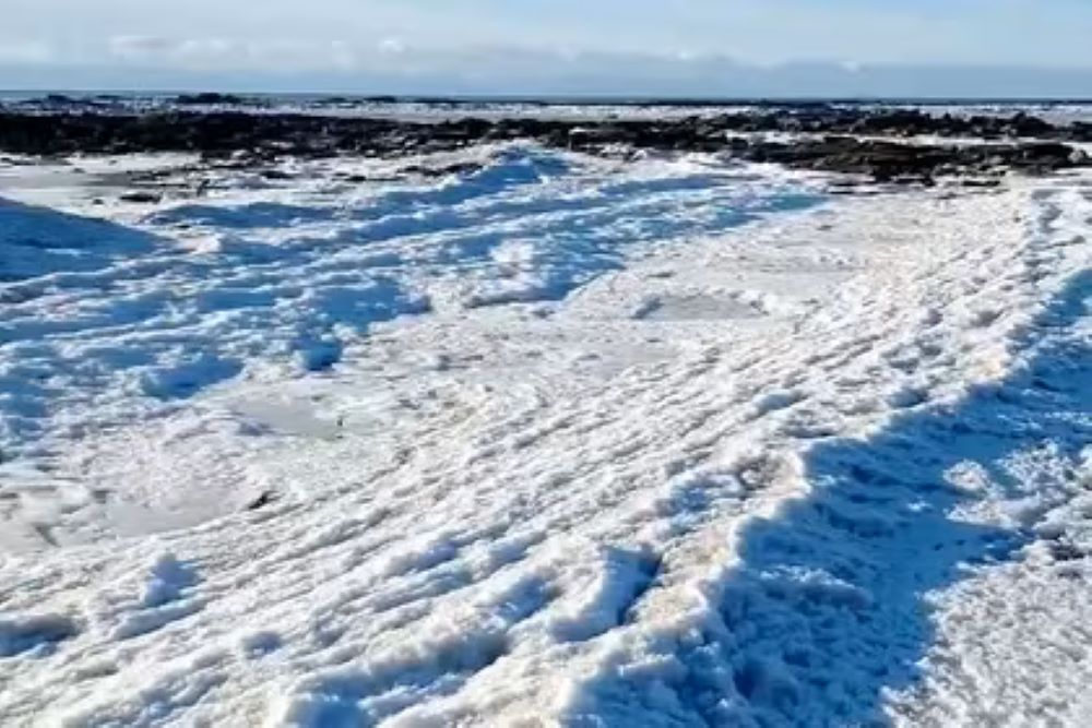 Ola polar: se congeló el mar en Tierra del Fuego por bajas temperaturas extremas