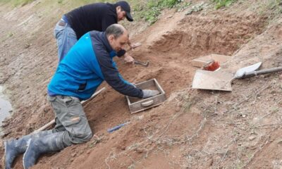 Hallaron en un gliptodonte la evidencia de presencia humana más antigua de Sudamérica