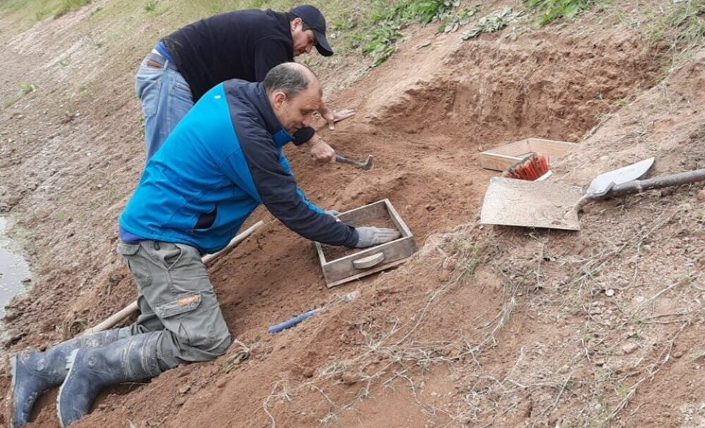 Hallaron en un gliptodonte la evidencia de presencia humana más antigua de Sudamérica