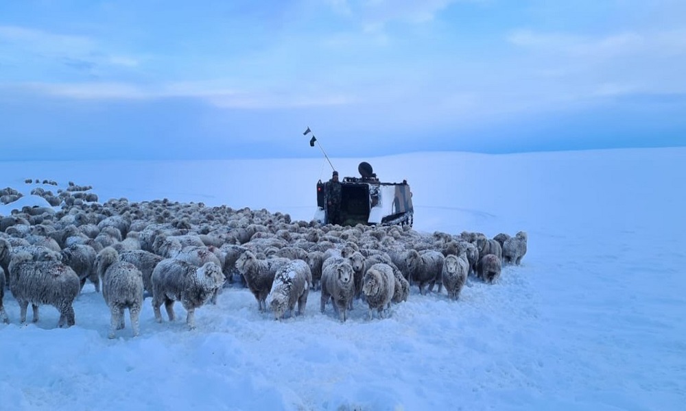 Frío extremo: postales de las bajas temperaturas que continuarán en todo el país.