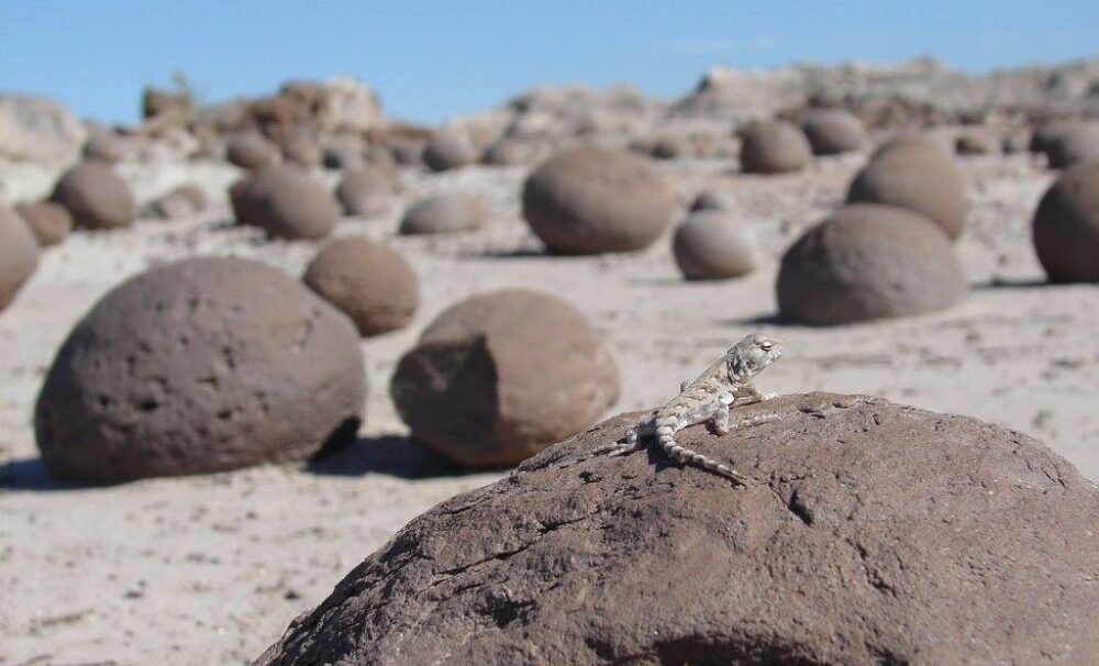 Ischigualasto fue elegido como uno de los Segundos 100 Sitios de Patrimonio Geológico