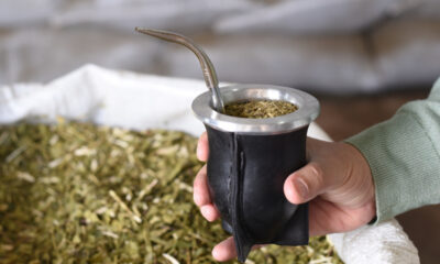 El Instituto de Yerba Mate celebró “la eliminación de las trabas de la cadena de comercialización”