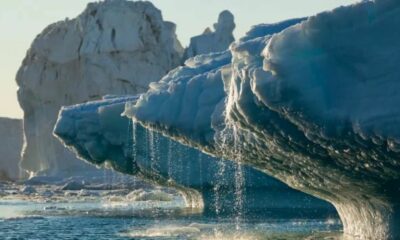 Afirman que el hielo en Groenlandia ya se derritió en el pasado y podría volver a pasar: tres ciudades quedarían bajo agua